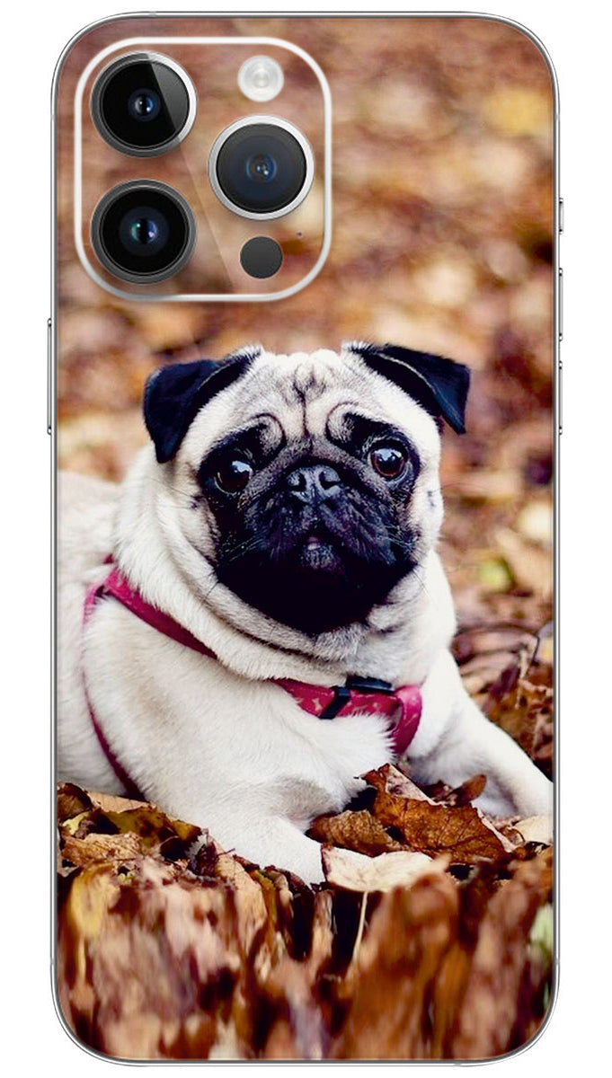 Lovely Pug dog Mobile Skin Wrap - ANI0010