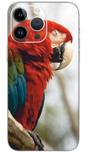 A red and green parrot Mobile Skin Wrap