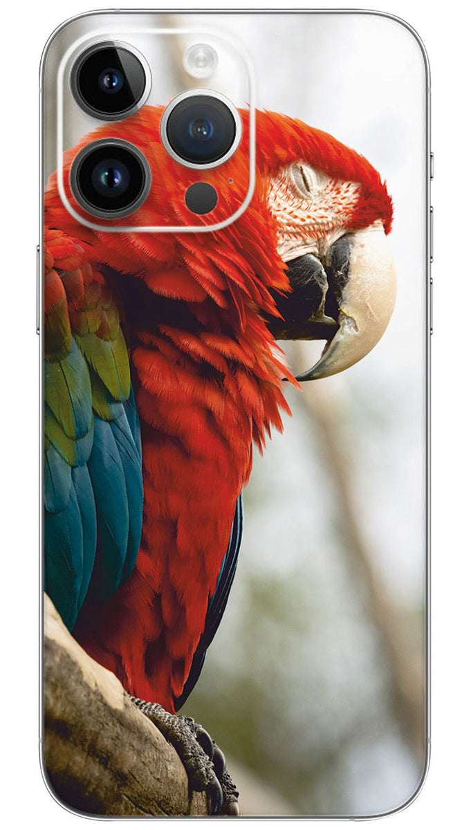 A red and green parrot Mobile Skin Wrap