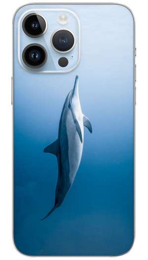 Dolphin In The Sea Mobile Skin Wrap