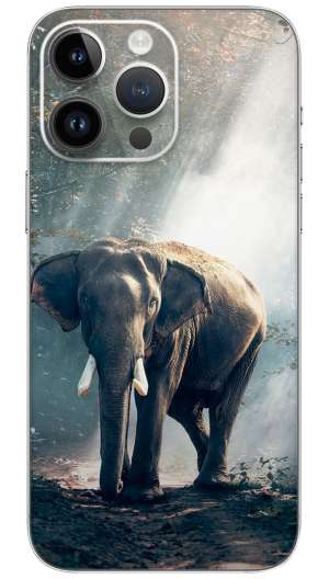 Elephant In Forest  Mobile Skin Wrap